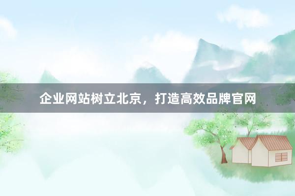 企业网站树立北京，打造高效品牌官网