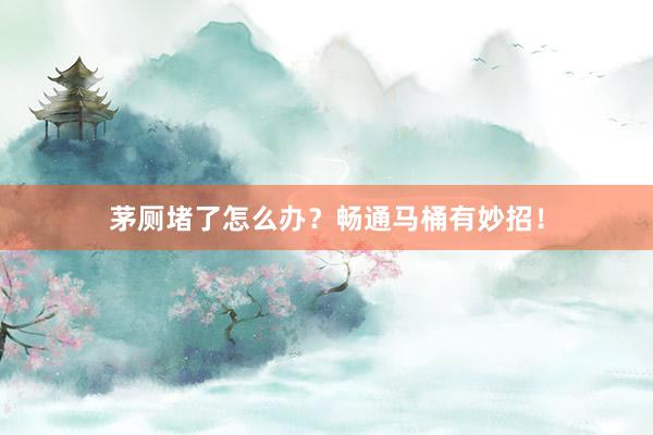 茅厕堵了怎么办？畅通马桶有妙招！