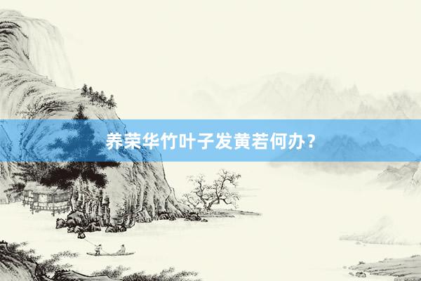 养荣华竹叶子发黄若何办？